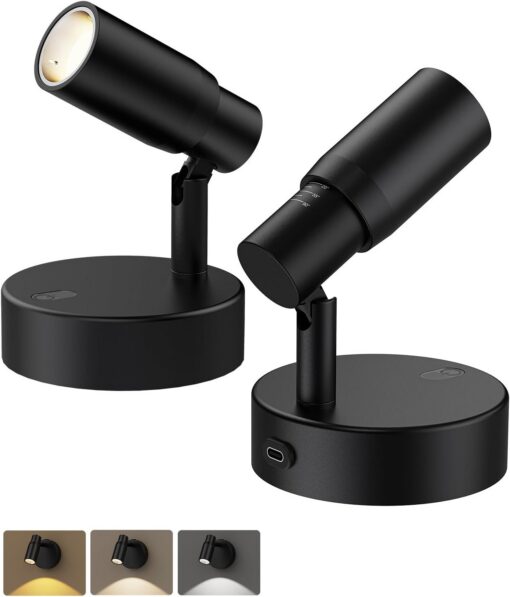 Rechargeable Indoor Spotlight for Art & Plants - 2 Pack – image 1