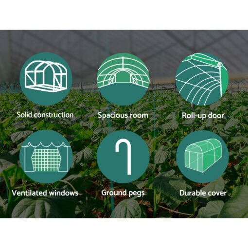Green Fingers 6x3m Walk-In Greenhouse, 12 Vents – image 6