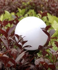 Does not apply 6 Pack Solar Stake Lights, Cool White - Image 9