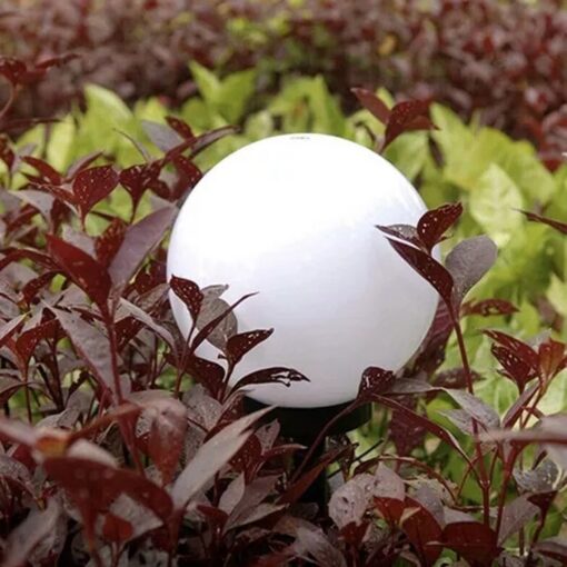 Does not apply 6 Pack Solar Stake Lights, Cool White – image 9