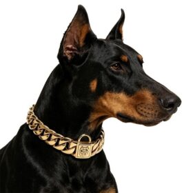 Stainless Steel Cuban Link Dog Collar – image 1