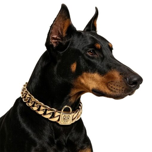 Stainless Steel Cuban Link Dog Collar with Dog Head Buckle – image 5