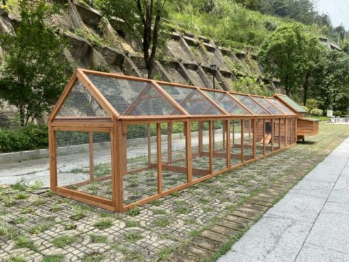 YES4PETS 6m Chicken Coop with Run – image 5