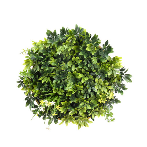 V278-CCGA153V027-DAFFODIL-69085-00.jpg YES4HOMES Artificial Green Wall Disc 50cm UV Resistant – image 1