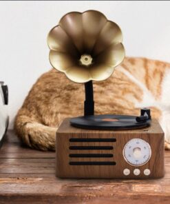 Elosung Gramophone Bluetooth Speaker with TF and USB - Image 3
