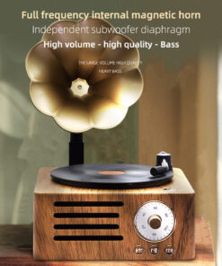 Elosung Gramophone Bluetooth Speaker with TF and USB - Image 5