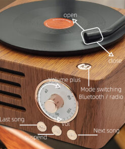 Elosung Gramophone Bluetooth Speaker with TF and USB - Image 6