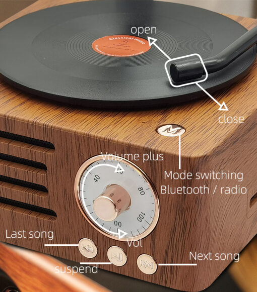 Elosung Gramophone Bluetooth Speaker with TF and USB – image 6