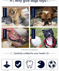 Elosung 4-Piece EVA Floating Dog Ring Set - Image 3