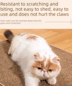 Elosung Cat Feeding Station Set with Slow Feeder - Image 12