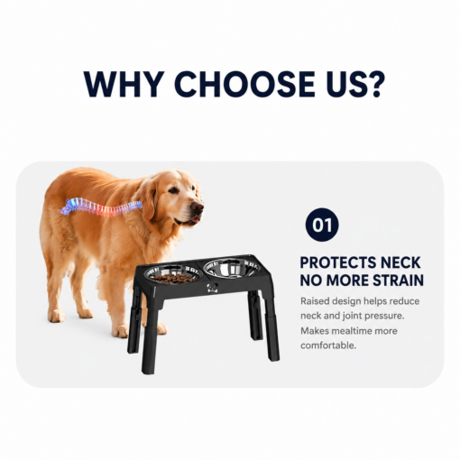 Elosung Adjustable Dog Bowl Stand with Steel Bowls – image 7